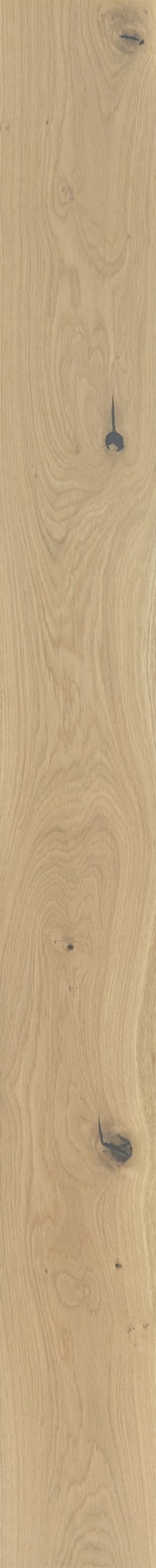 Wildwood Golden Oak